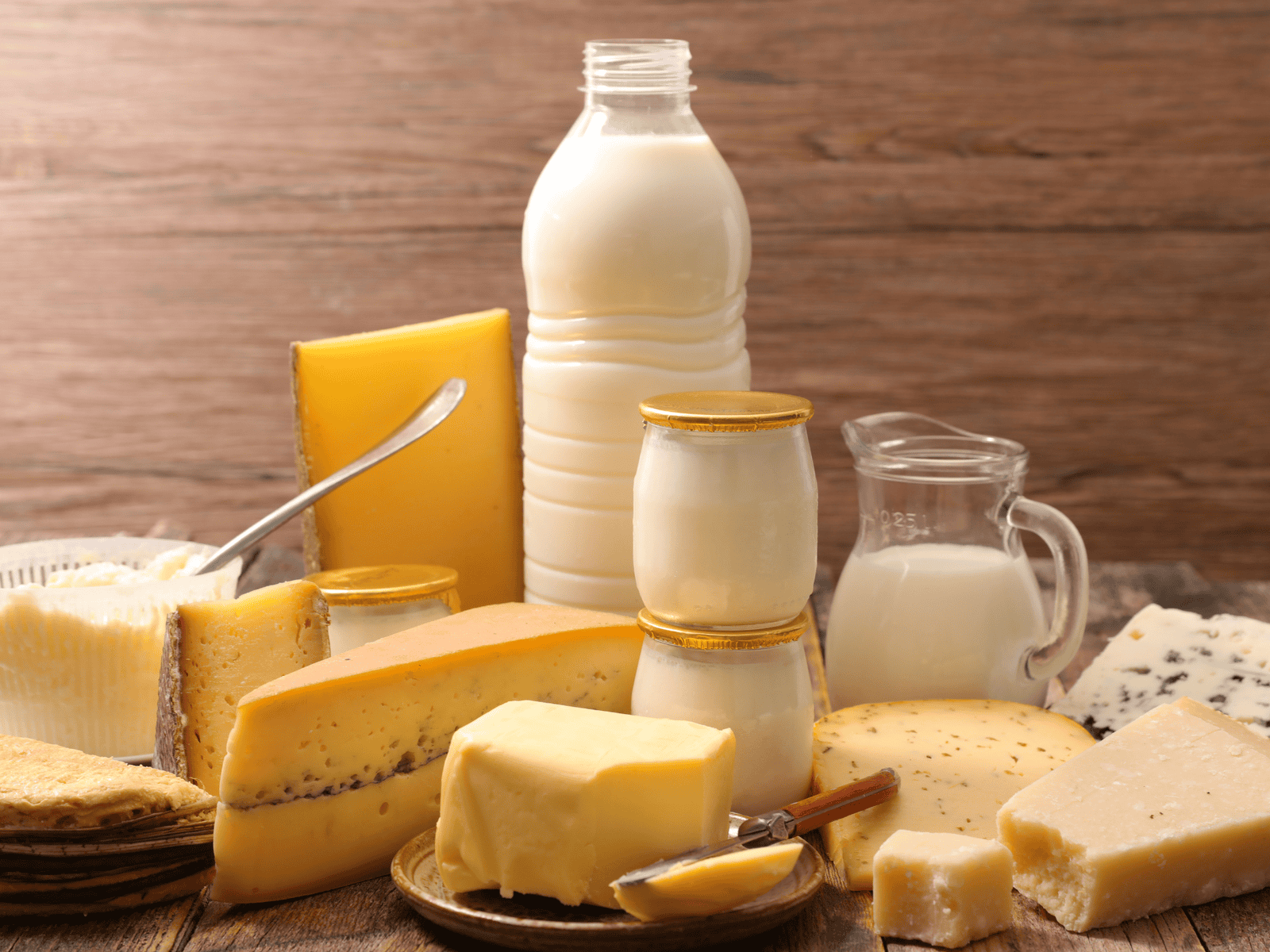 dairy food product manufacturer malaysia