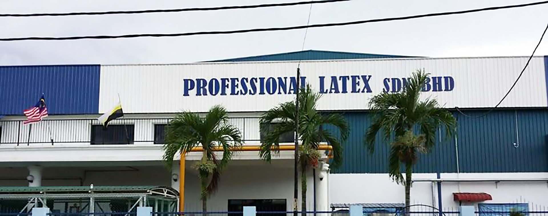 Professional Latex company