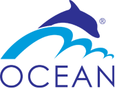 Ocean Roto logo