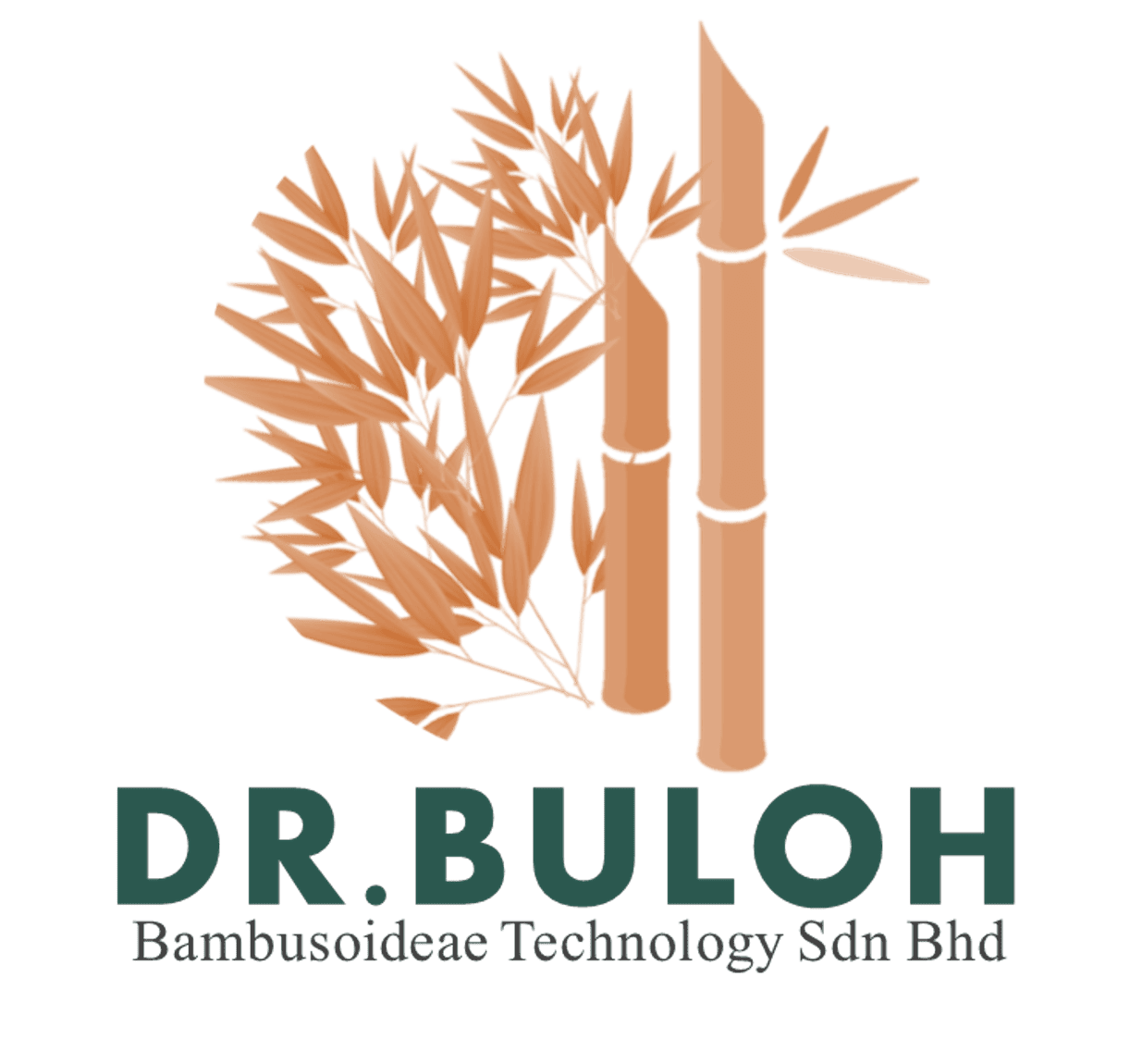Bambusoideae Technology Sdn Bhd logo