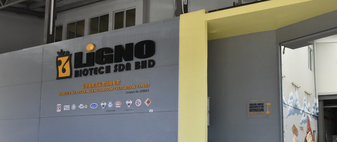 LiGNO Biotech Sdn Bhd