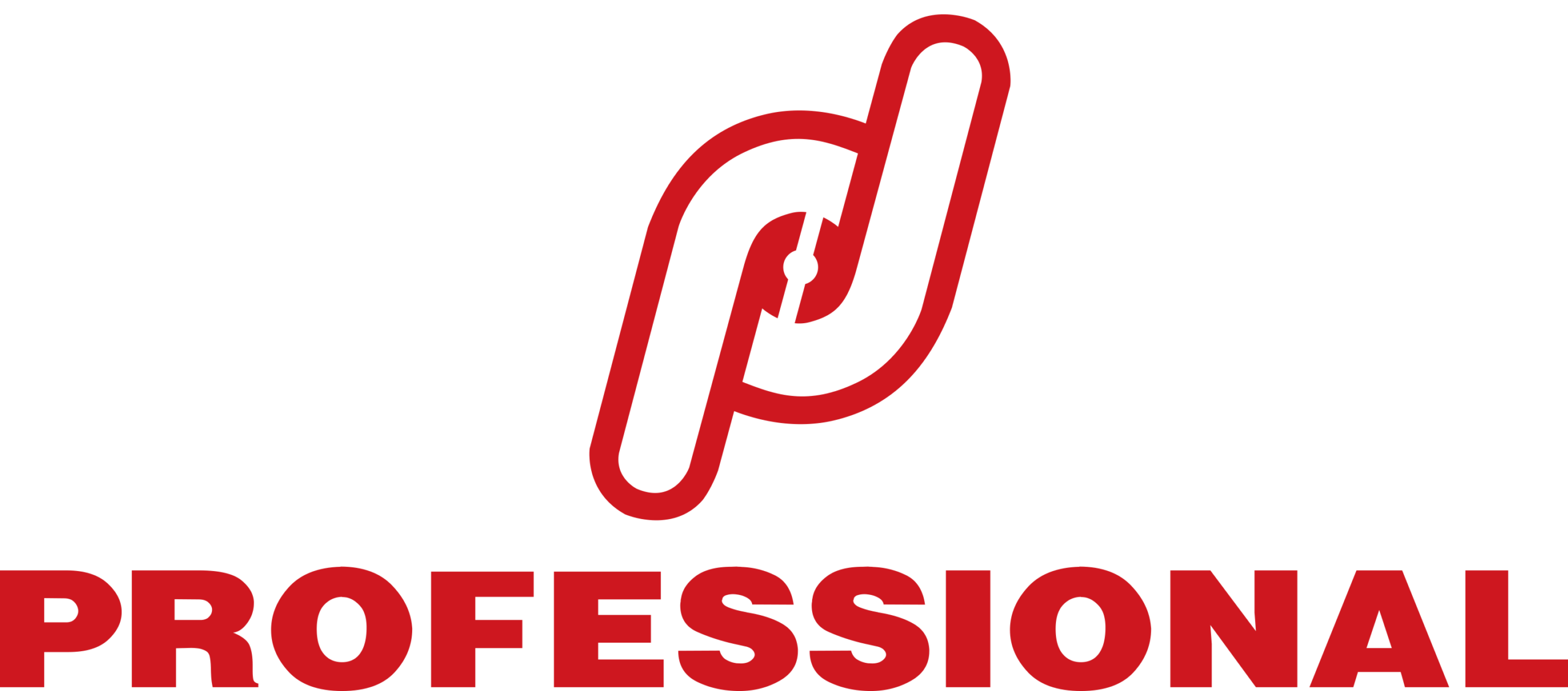 PROFESSIONAL-LOGO